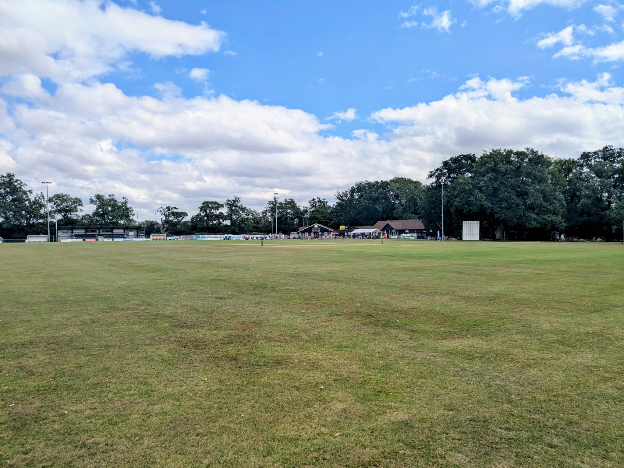 Junior Cricket Success in 2025